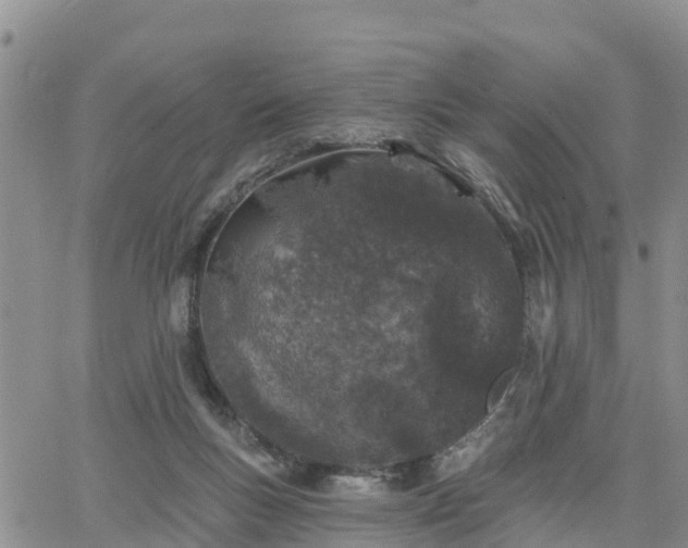 X0000064740167200602171716