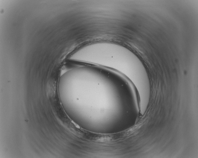 X0000064740168200602171716