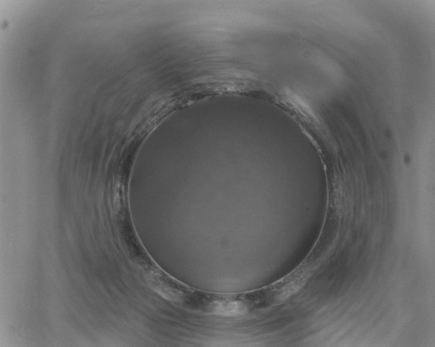 X0000064740169200602171716