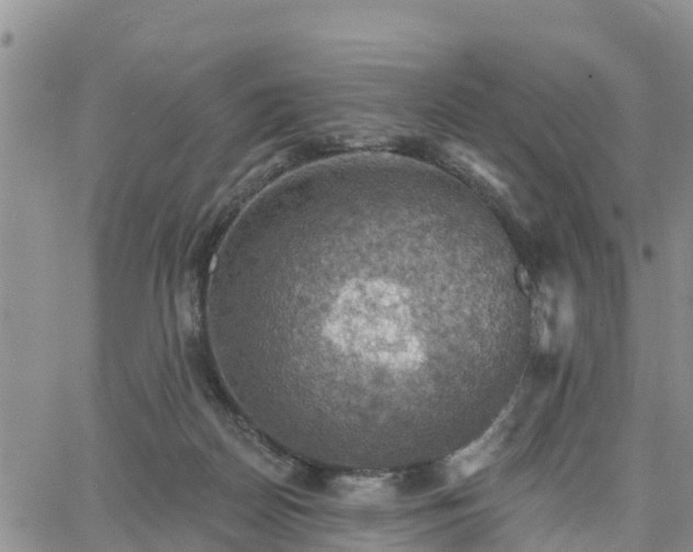 X0000064740170200602171716