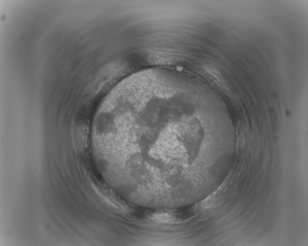 X0000064740171200602171716