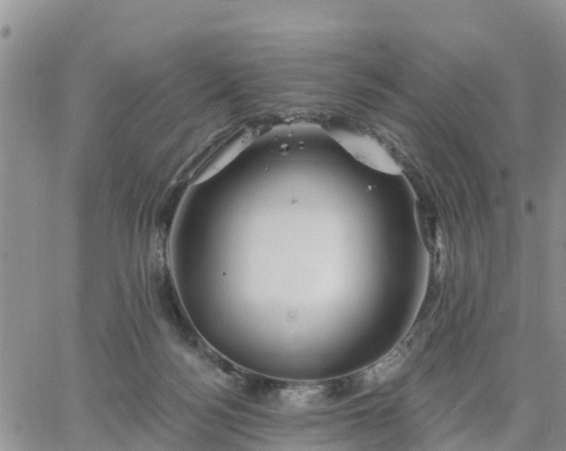 X0000064740172200602171716