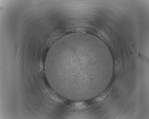 X0000064740173200602171716