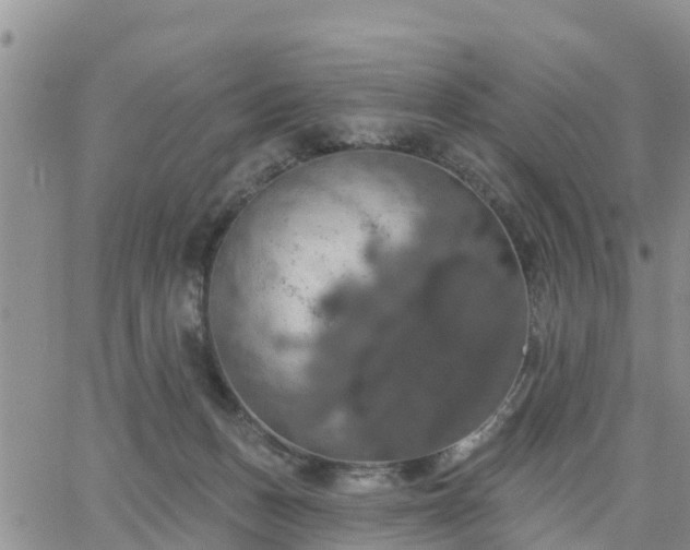 X0000064740175200602171716