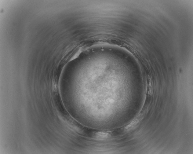 X0000064740176200602171716