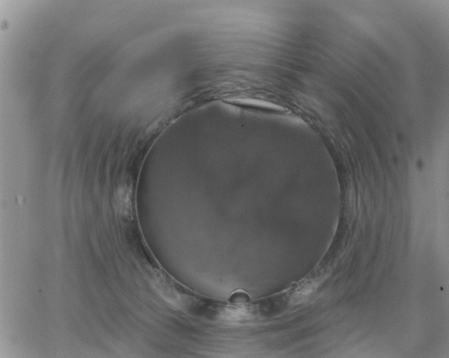 X0000064740177200602171716