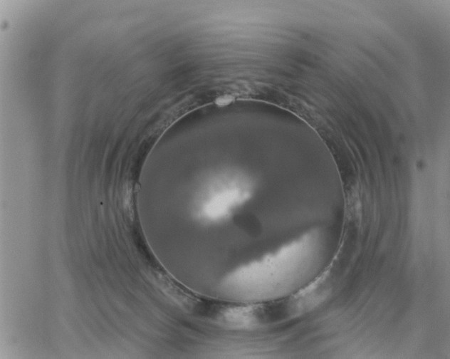 X0000064740178200602171716