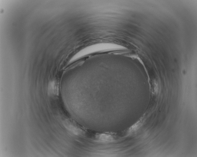 X0000064740180200602171717