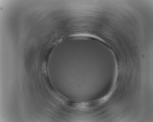 X0000064740182200602171717