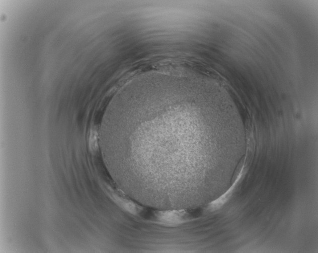 X0000064740191200602171717