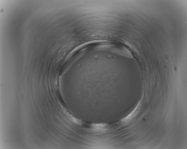 X0000064740192200602171717