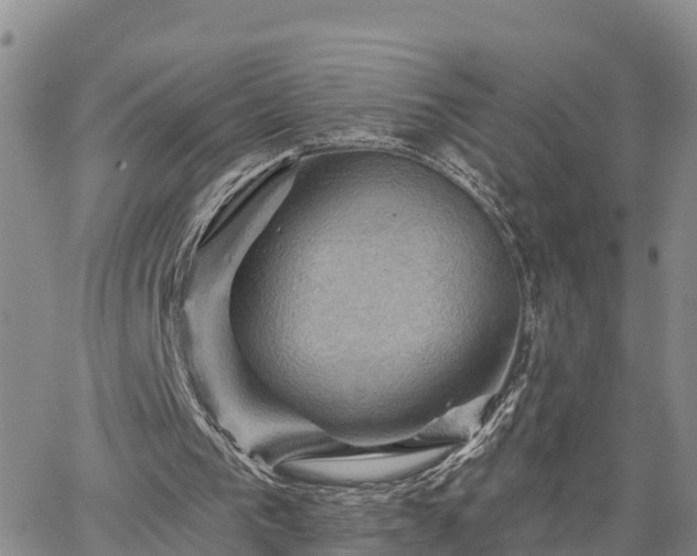 X0000064740193200602171716