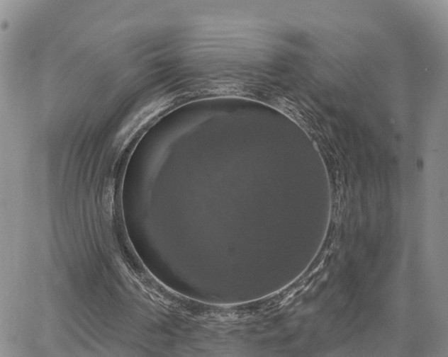 X0000064740194200602171716