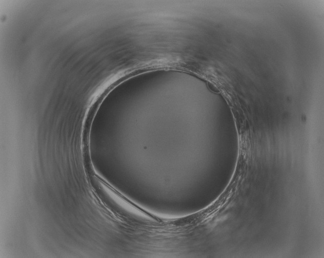 X0000064740196200602171716