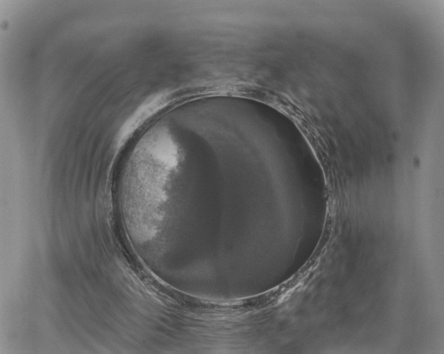 X0000064740198200602171716