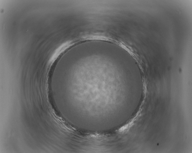 X0000064740199200602171716