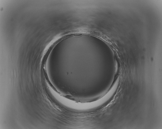 X0000064740200200602171716