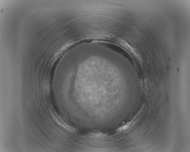 X0000064740203200602171716