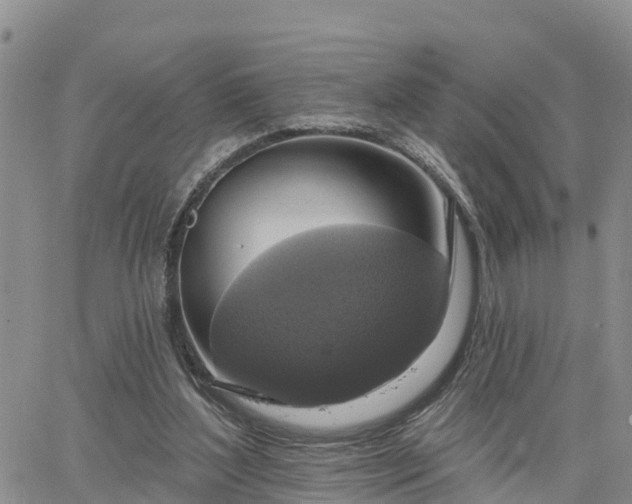 X0000064740204200602171716