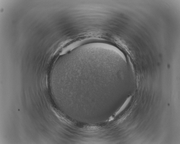 X0000064740205200602171716