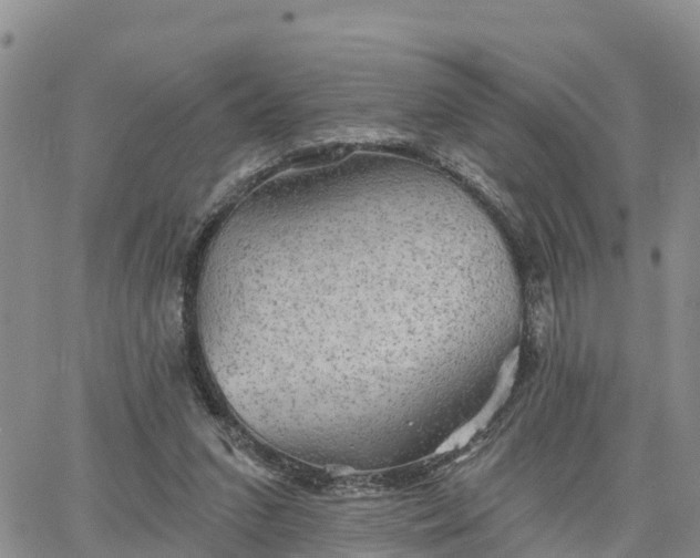 X0000064740207200602171716