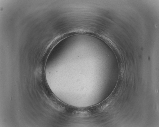 X0000064740208200602171716