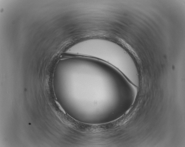 X0000064740209200602171716