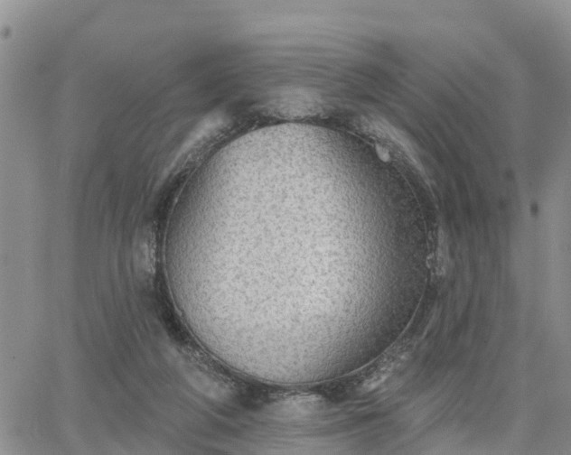 X0000064740210200602171716