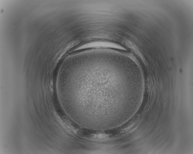 X0000064740212200602171716