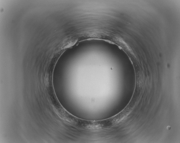 X0000064740213200602171716