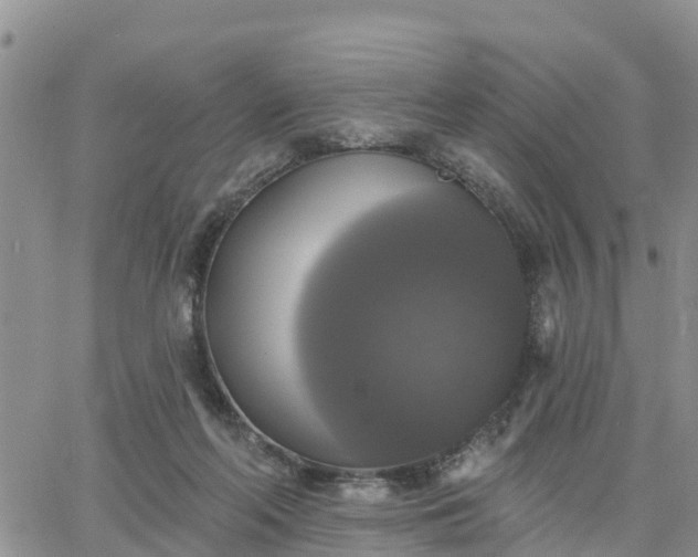 X0000064740214200602171716