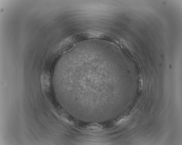 X0000064740215200602171716