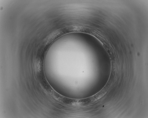 X0000064740216200602171715