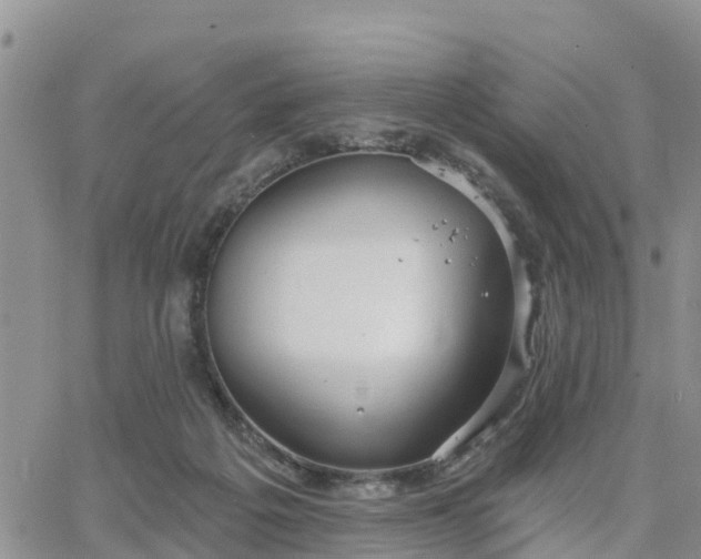 X0000064740217200602171715