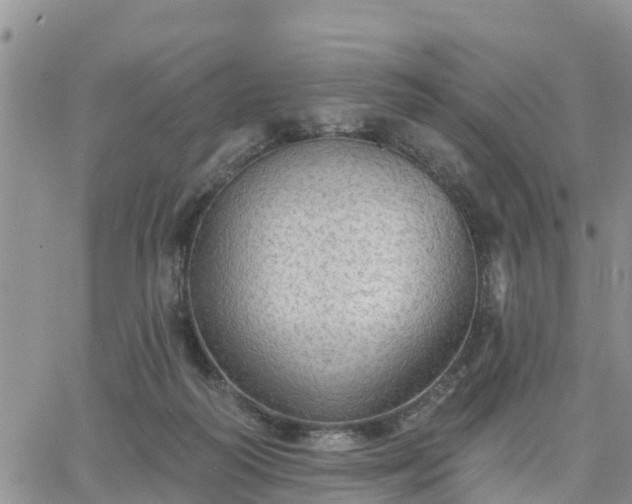 X0000064740218200602171715