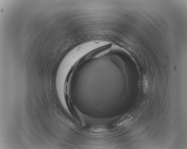 X0000064740219200602171715