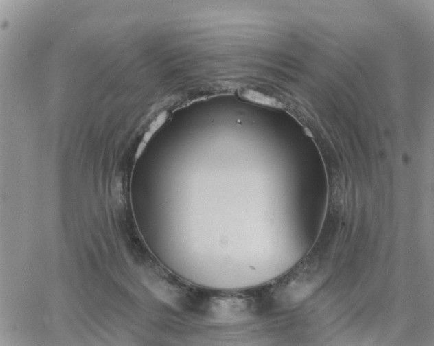 X0000064740220200602171715