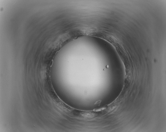 X0000064740221200602171715