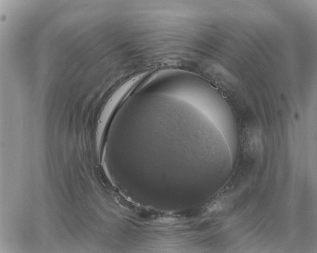 X0000064740224200602171715