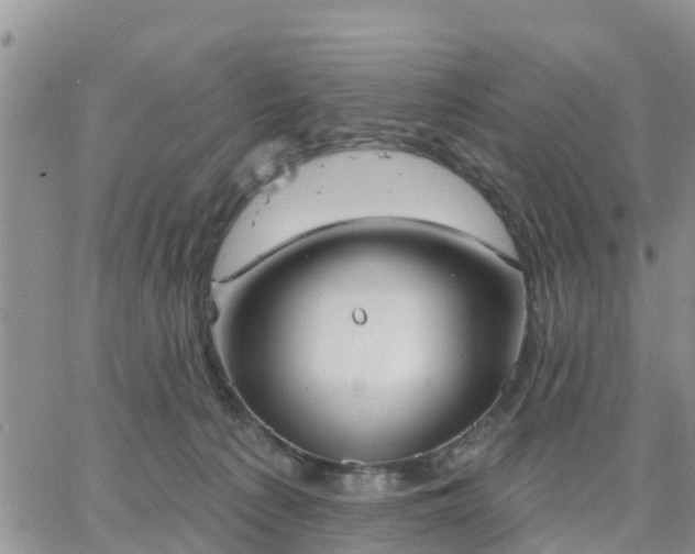 X0000064740225200602171715