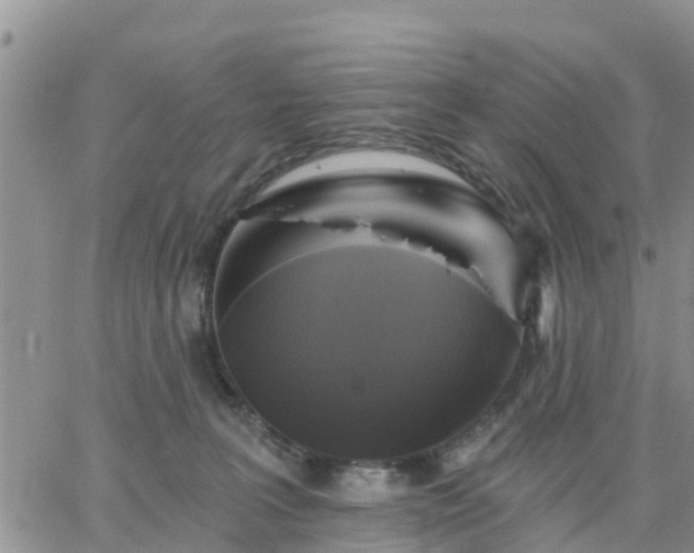 X0000064740227200602171715