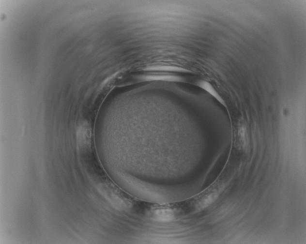 X0000064740228200602171715