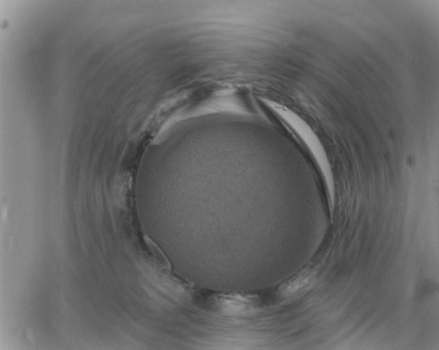 X0000064740229200602171715