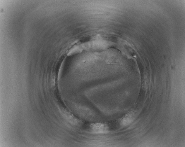 X0000064740230200602171715