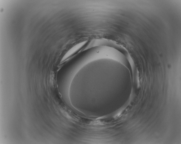 X0000064740231200602171715