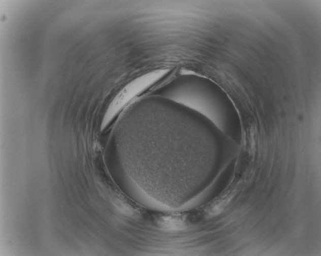 X0000064740232200602171715