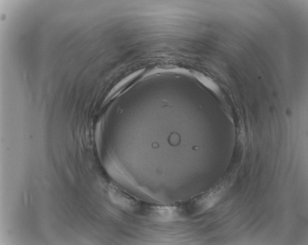 X0000064740233200602171715