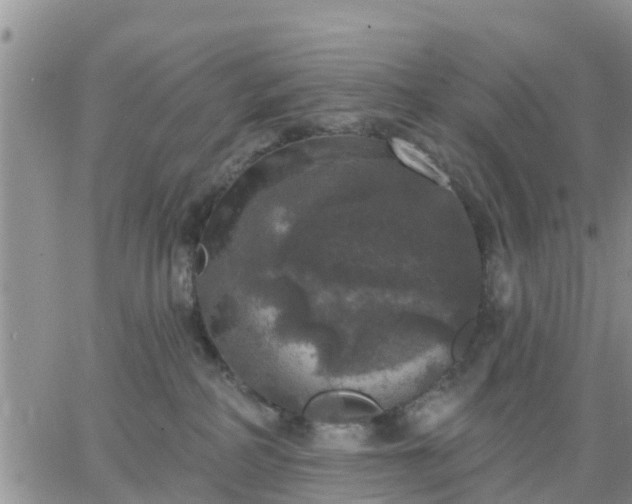 X0000064740234200602171715