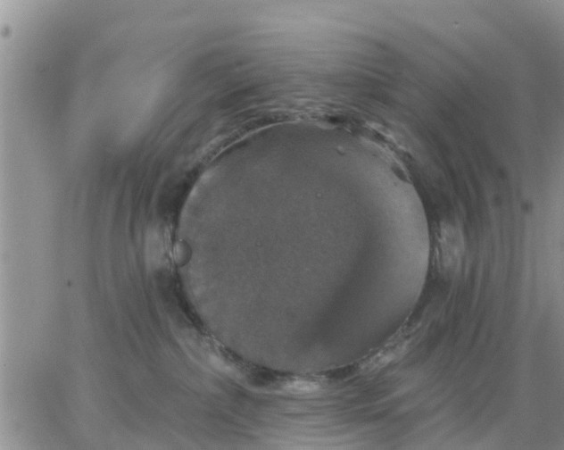 X0000064740236200602171715