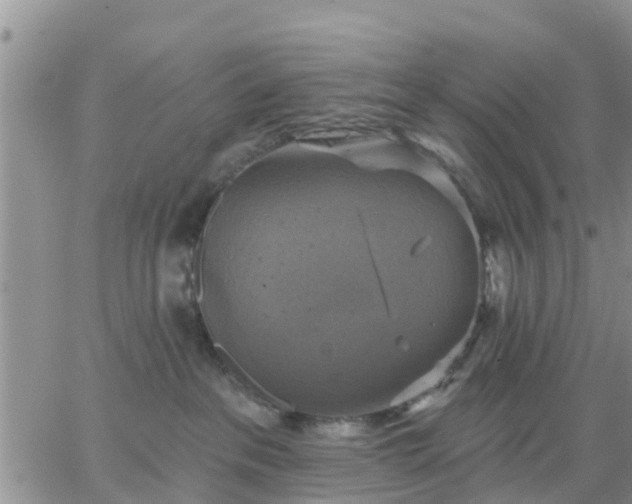 X0000064740237200602171715